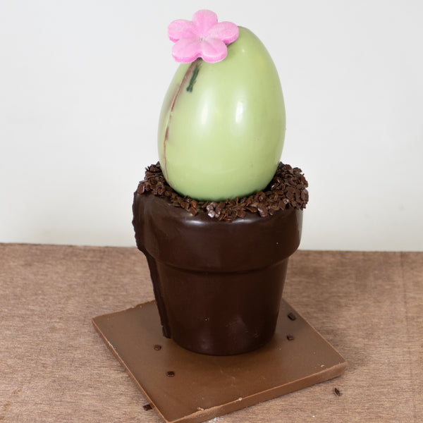 Pot à fleur guimauve caramel et riz soufflé