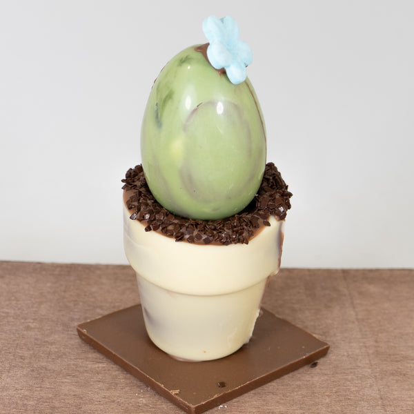 Pot à fleur guimauve caramel et riz soufflé
