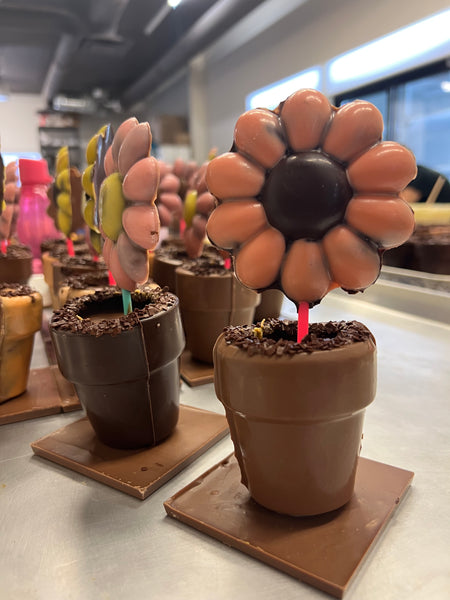 Pot à fleur