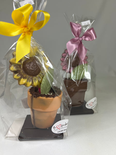 Pot à fleur