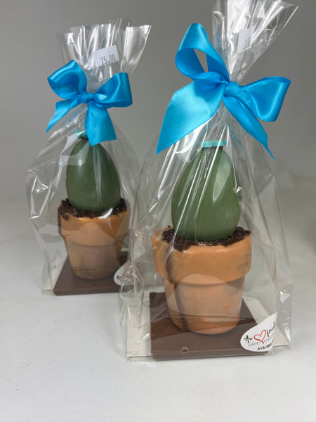 Pot à fleur