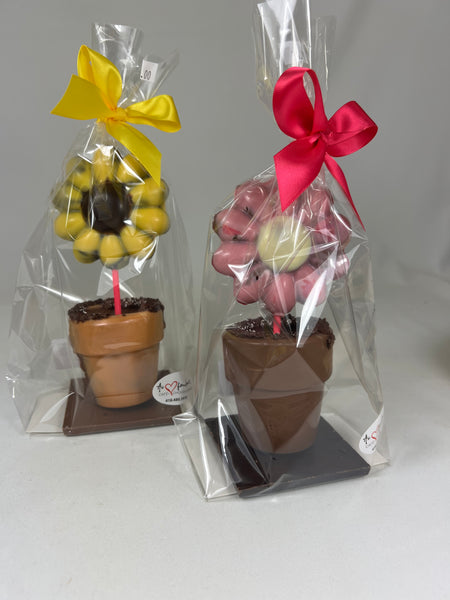 Pot à fleur Dubaï