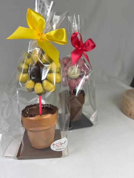 Pot à fleur Dubaï