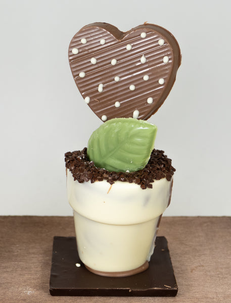 Pot à fleur riz soufflé, guimauve et ganache à la fraise