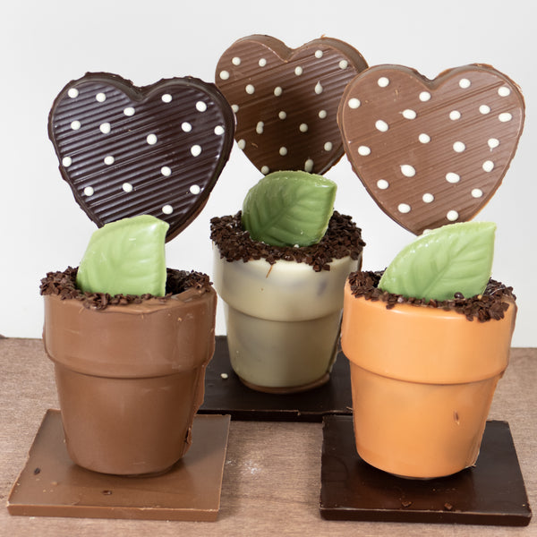Pot à fleur riz soufflé, guimauve et ganache à la fraise