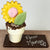 Pot à fleur guimauve caramel et riz soufflé