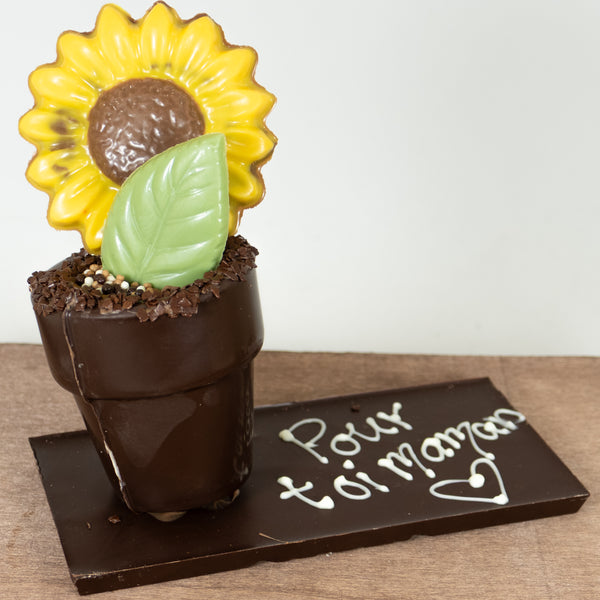Pot à fleur guimauve caramel et riz soufflé