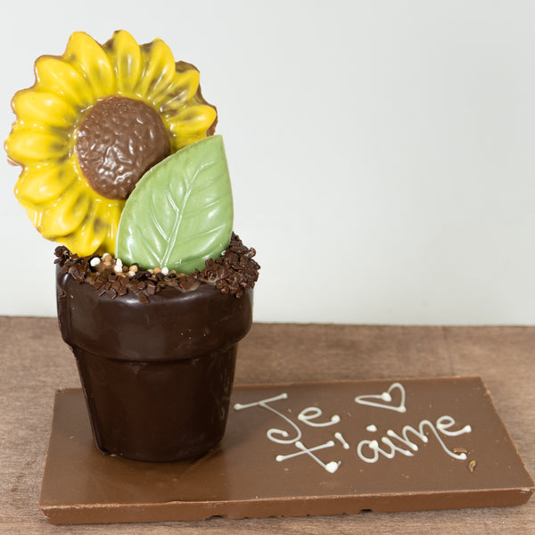 Pot à fleur guimauve caramel et riz soufflé