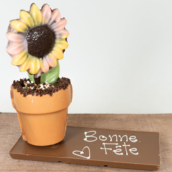 Pot à fleur guimauve caramel et riz soufflé