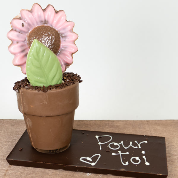 Pot à fleur guimauve caramel et riz soufflé