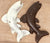 Poisson en chocolat